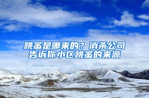 跳蚤是哪來的？消殺公司告訴你小區(qū)跳蚤的來源