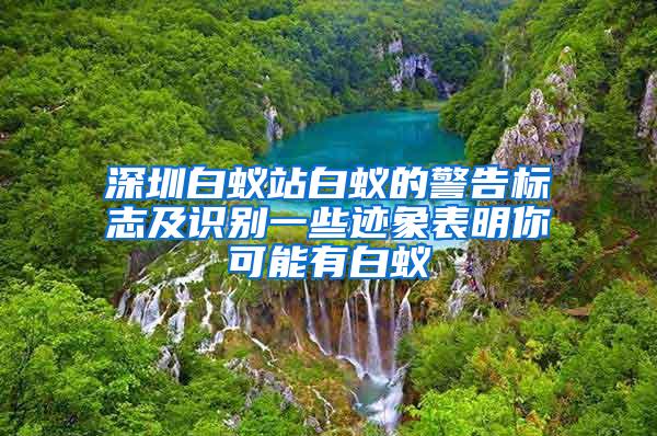 深圳白蟻站白蟻的警告標(biāo)志及識(shí)別一些跡象表明你可能有白蟻