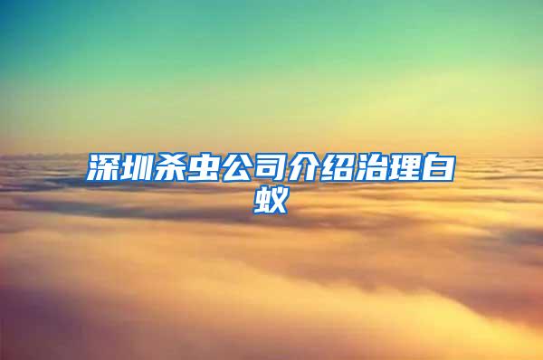 深圳殺蟲公司介紹治理白蟻