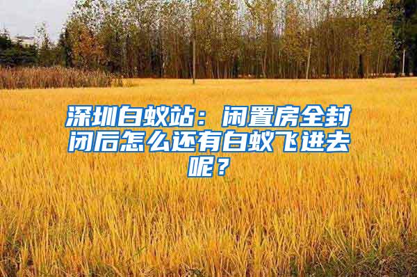 深圳白蟻站：閑置房全封閉后怎么還有白蟻飛進去呢？