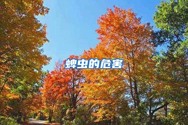 蜱蟲的危害