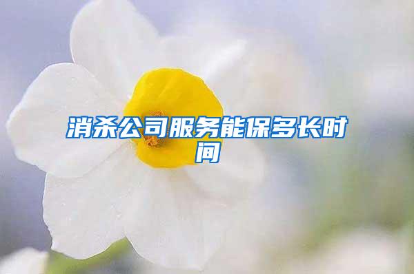消殺公司服務(wù)能保多長(zhǎng)時(shí)間