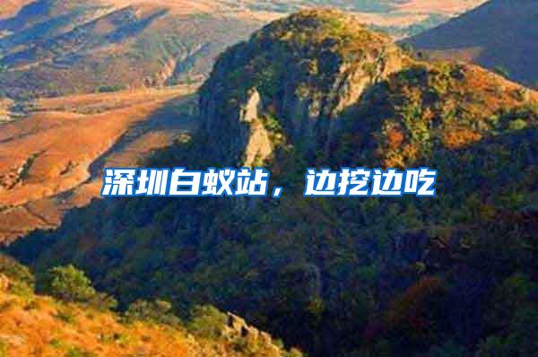 深圳白蟻站，邊挖邊吃