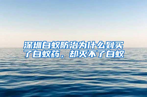 深圳白蟻防治為什么到買了白蟻藥，卻滅不了白蟻