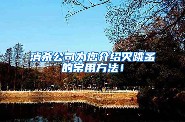 消殺公司為您介紹滅跳蚤的常用方法！
