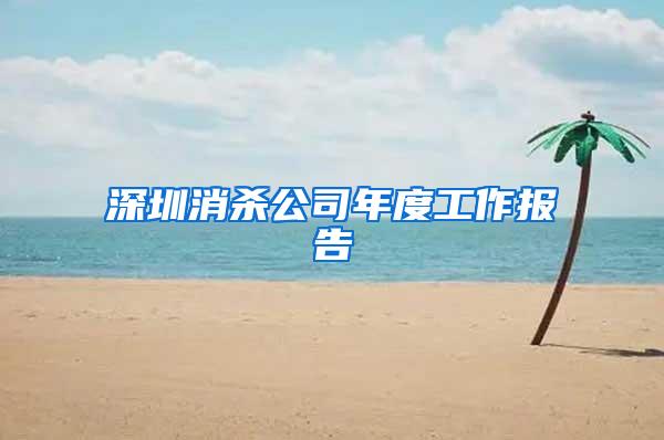 深圳消殺公司年度工作報告