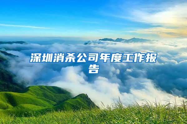 深圳消殺公司年度工作報告