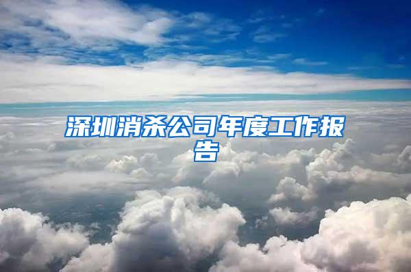 深圳消殺公司年度工作報(bào)告