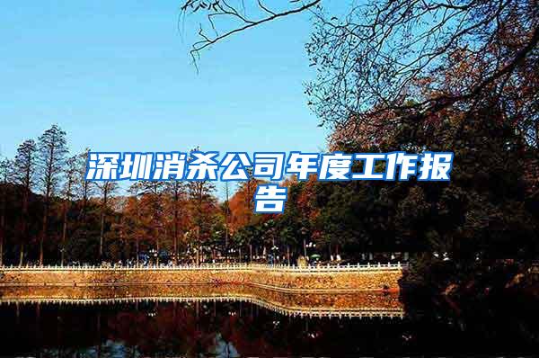 深圳消殺公司年度工作報(bào)告