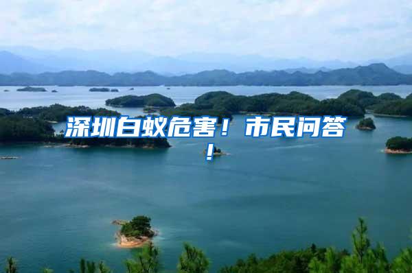深圳白蟻危害！市民問答！