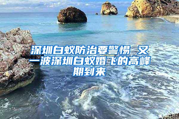 深圳白蟻防治要警惕 又一波深圳白蟻婚飛的高峰期到來(lái)