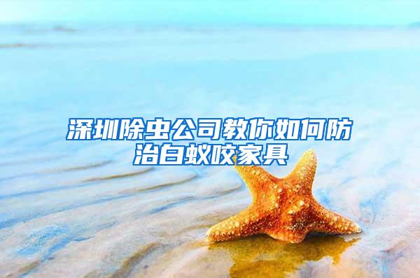 深圳除蟲公司教你如何防治白蟻咬家具