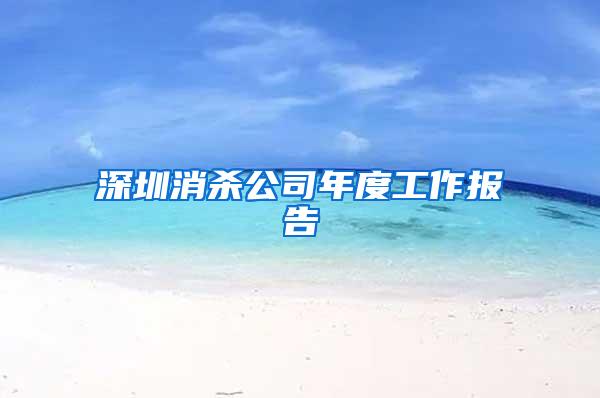 深圳消殺公司年度工作報告
