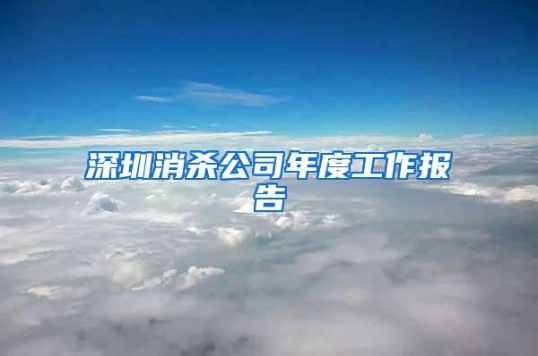 深圳消殺公司年度工作報(bào)告
