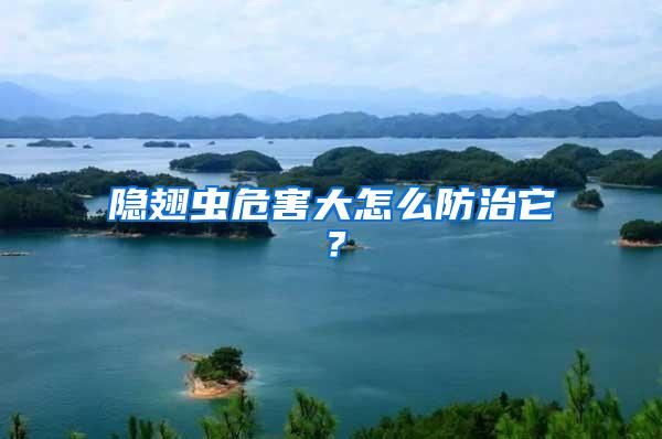 隱翅蟲(chóng)危害大怎么防治它？