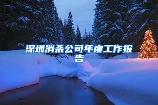 深圳消殺公司年度工作報(bào)告