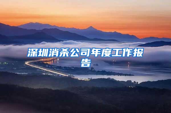 深圳消殺公司年度工作報告