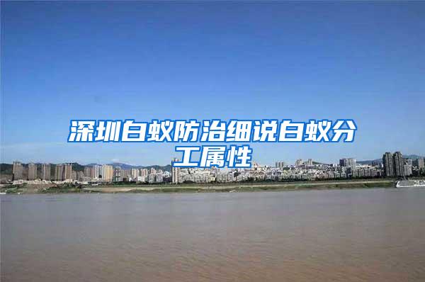 深圳白蟻防治細(xì)說白蟻分工屬性