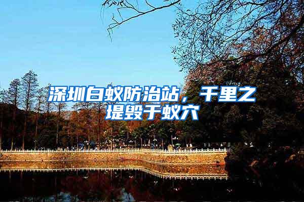 深圳白蟻防治站，千里之堤毀于蟻穴