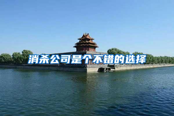 消殺公司是個(gè)不錯(cuò)的選擇