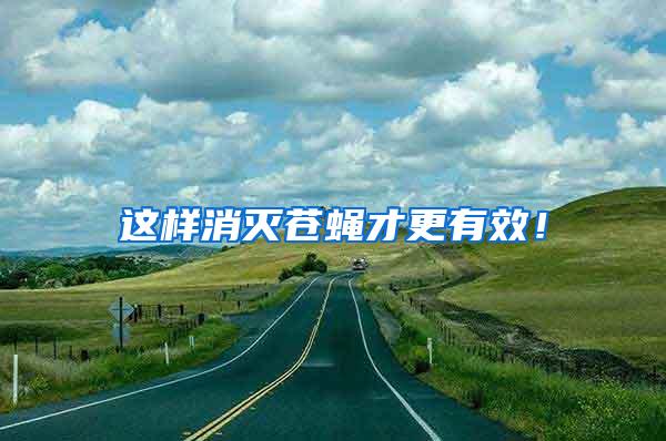 這樣消滅蒼蠅才更有效！