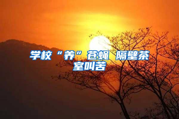 學?！梆B(yǎng)”蒼蠅 隔壁茶室叫苦