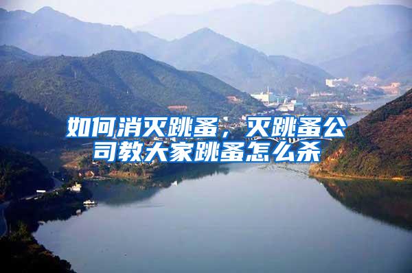 如何消滅跳蚤，滅跳蚤公司教大家跳蚤怎么殺