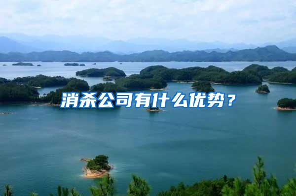 消殺公司有什么優(yōu)勢？