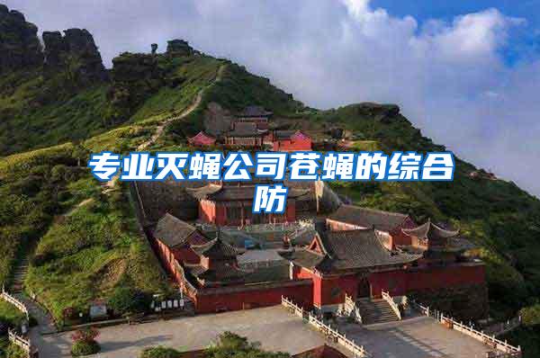 專業(yè)滅蠅公司蒼蠅的綜合防