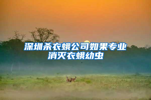 深圳殺衣蛾公司如果專業(yè)消滅衣蛾幼蟲(chóng)