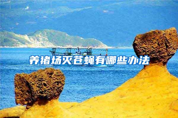 養(yǎng)豬場滅蒼蠅有哪些辦法