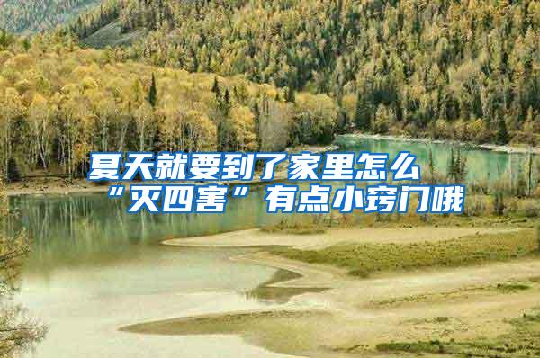 夏天就要到了家里怎么“滅四害”有點(diǎn)小竅門哦