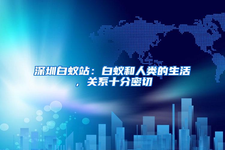 深圳白蟻站：白蟻和人類的生活，關(guān)系十分密切