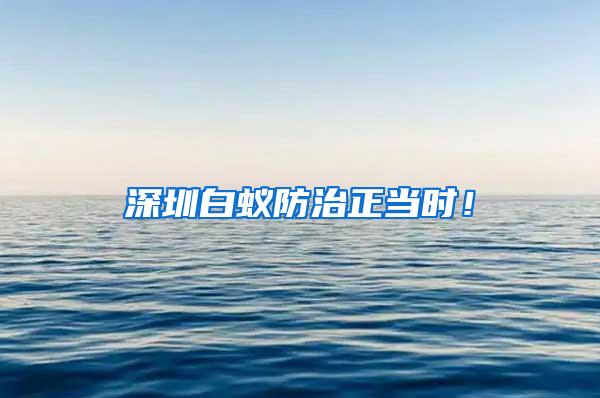 深圳白蟻防治正當(dāng)時(shí)！