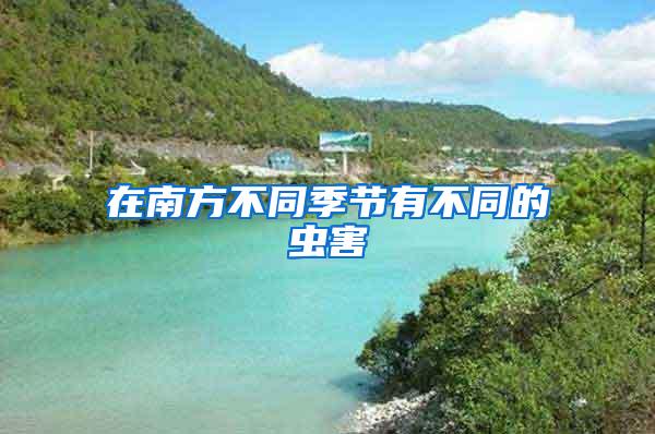 在南方不同季節(jié)有不同的蟲害
