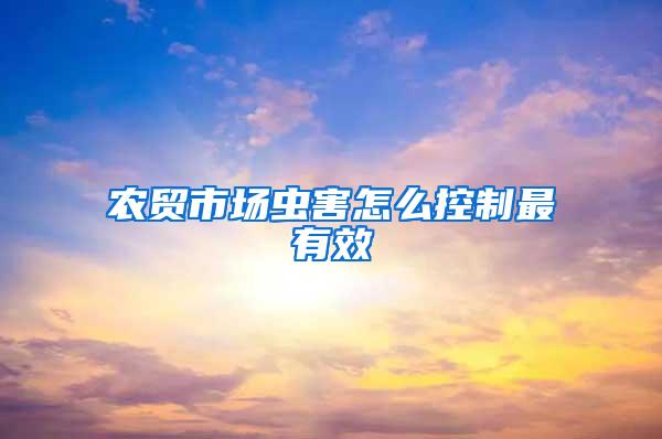農貿市場蟲害怎么控制最有效