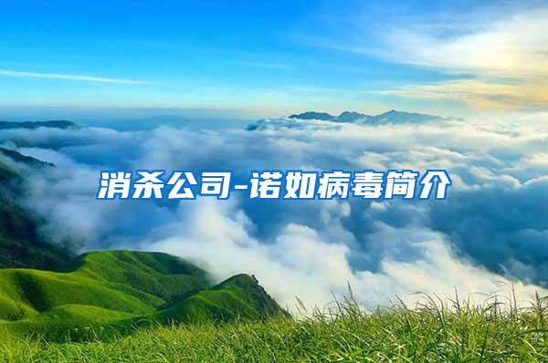 消殺公司-諾如病毒簡介