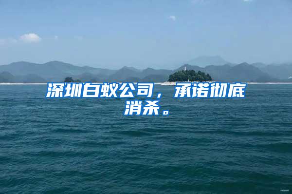 深圳白蟻公司，承諾徹底消殺。