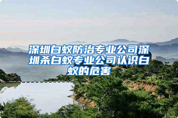 深圳白蟻防治專業(yè)公司深圳殺白蟻專業(yè)公司認(rèn)識白蟻的危害