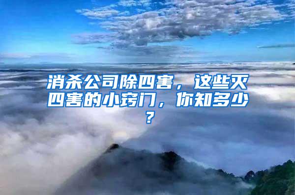 消殺公司除四害，這些滅四害的小竅門，你知多少？