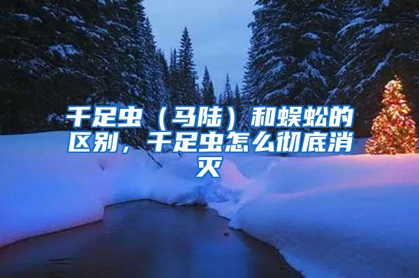 千足蟲（馬陸）和蜈蚣的區(qū)別，千足蟲怎么徹底消滅