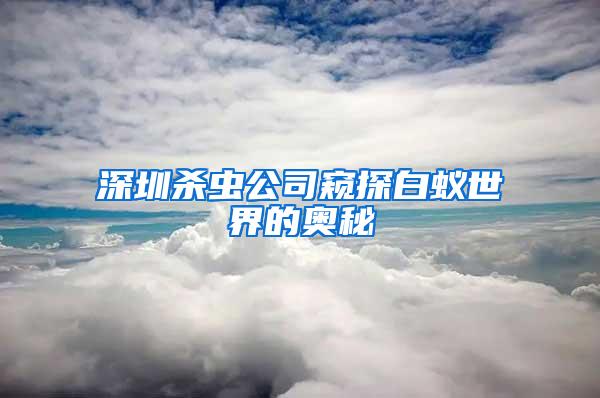 深圳殺蟲(chóng)公司窺探白蟻世界的奧秘