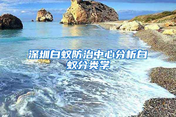 深圳白蟻防治中心分析白蟻分類學(xué)