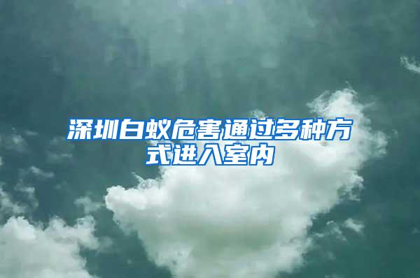 深圳白蟻危害通過(guò)多種方式進(jìn)入室內(nèi)