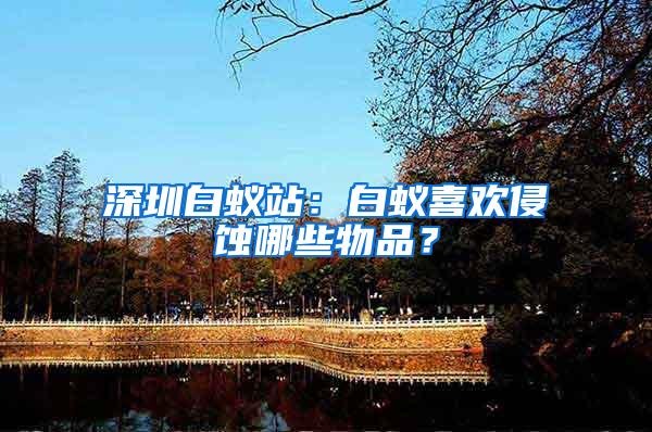 深圳白蟻站：白蟻喜歡侵蝕哪些物品？