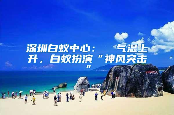 深圳白蟻中心：  氣溫上升，白蟻扮演“神風(fēng)突擊”