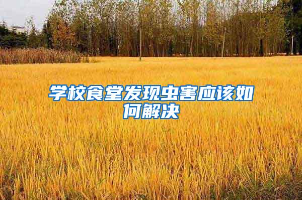 學(xué)校食堂發(fā)現(xiàn)蟲害應(yīng)該如何解決