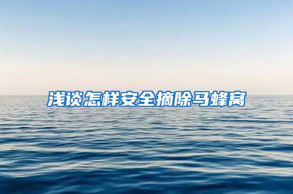 淺談怎樣安全摘除馬蜂窩