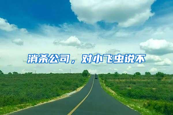 消殺公司，對(duì)小飛蟲說不