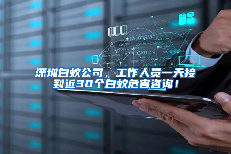 深圳白蟻公司，工作人員一天接到近30個(gè)白蟻危害咨詢！